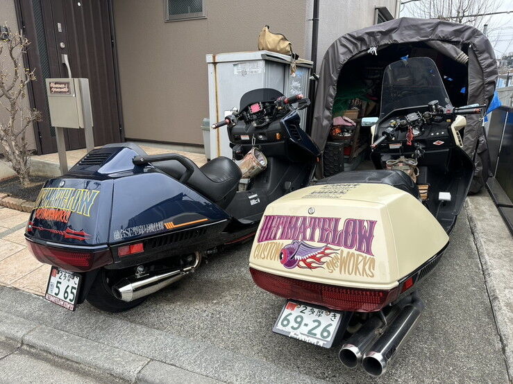 S__88219683_0